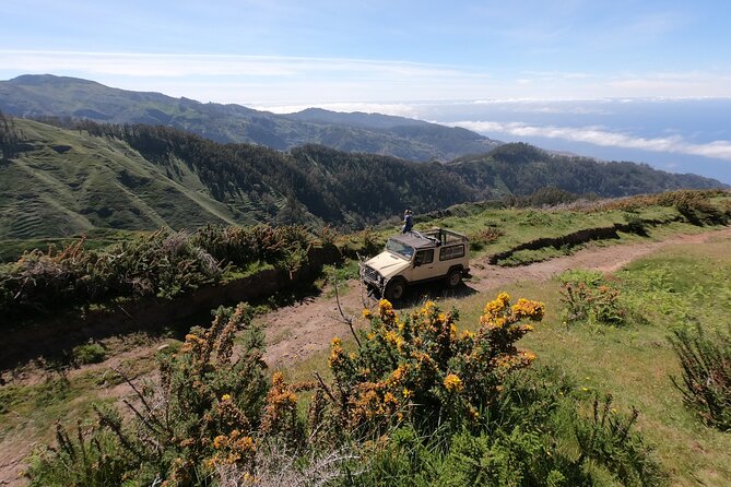 Private Full-Day - Comfort 4x4 Tour - NorthWest - Fanal Forest: the eerie tree atmosphere in a practical time block