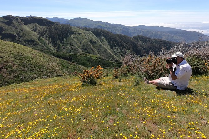 Private Full-Day - Comfort 4x4 Tour - NorthWest - Campanario, Ribeira Brava, and Tabua: southwest coastline without the crowd
