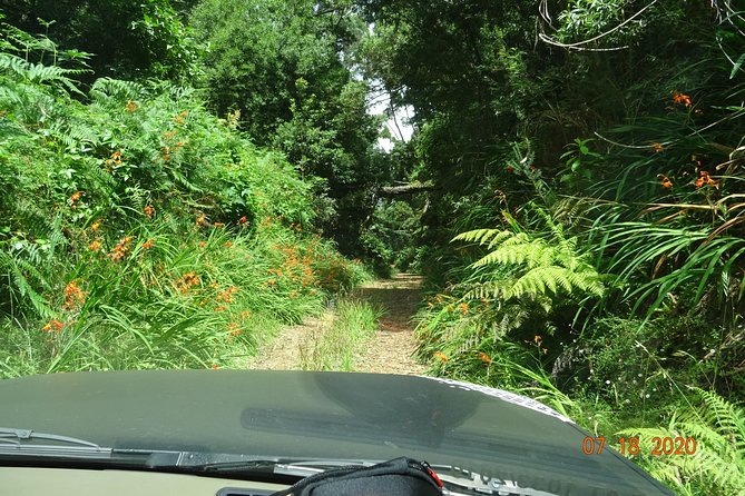 Private Full Day Off-Road Tour in Madeira - Price and value: $338.76 per group, up to 3 people