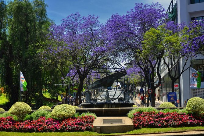 Private Funchal City Tour by Tukxi - Quinta das Cruzes Manor: A Museum Stop with the Right Setting