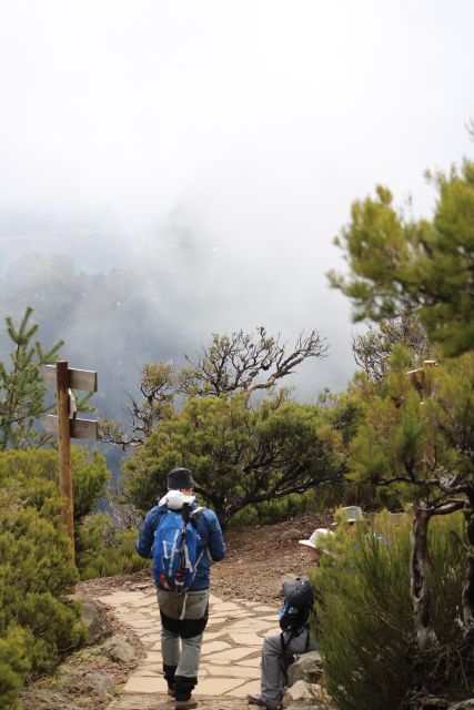 Private - Gastro Hike with Levada Walk and Local Food - Poncha with purpose: drink it, then understand it