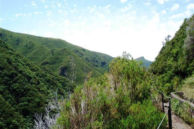 Private Guided Walk Levada 25 Fontes - Getting to the Trailhead Without Stress: Pickup From Funchal