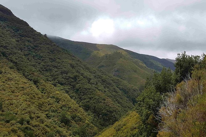 Private Guided Walk Levada 25 Fontes - Pace and Timing: Making a 5-Hour Walk Work for You