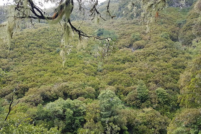 Private Guided Walk Levada 25 Fontes - Price and Value: What You’re Paying For at $107.84 per Person