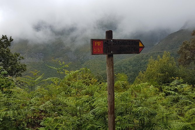 Private Guided Walk Levada 25 Fontes - Stop-by-Stop Flow (and What to Watch For)