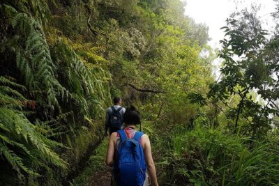 Private Guided Walk Levada Caldeirao Verde - São Jorge views: the scenery turns bigger as you go