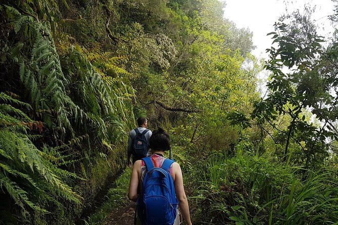 Private Guided Walk Levada Caldeirao Verde - São Jorge views: the scenery turns bigger as you go
