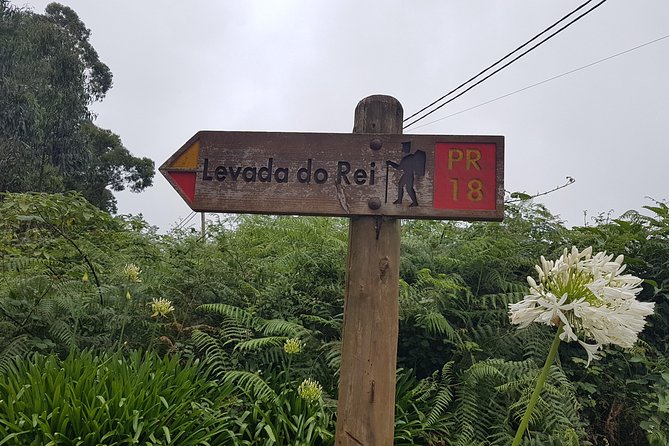 Private Guided Walk Levada do Rei - Levada do Rei: Walking Madeira’s Historic Water Channels Up Close