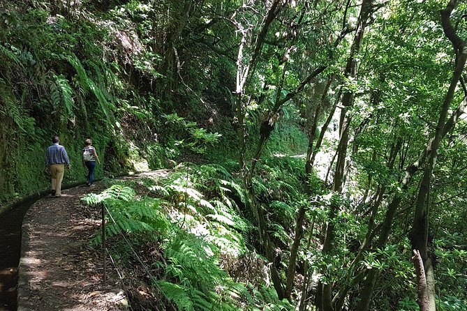 Private Guided Walk Levada do Rei - Pacing, Weather, and What You Should Wear