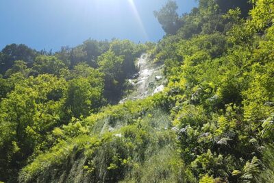 Private Guided Walk Levada do Rei - Pickup From Funchal and the Value of a Private Vehicle