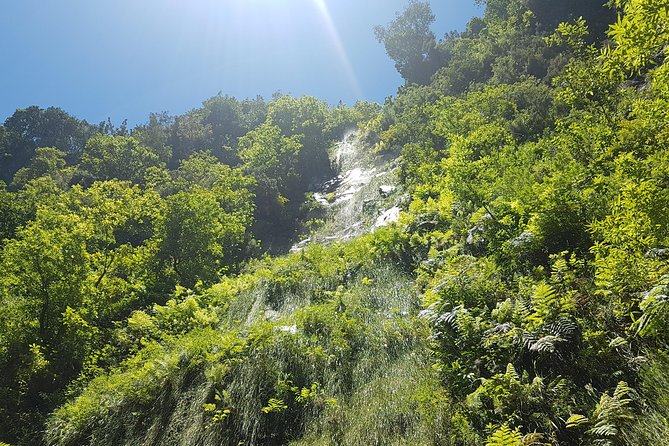 Private Guided Walk Levada do Rei - Pickup From Funchal and the Value of a Private Vehicle