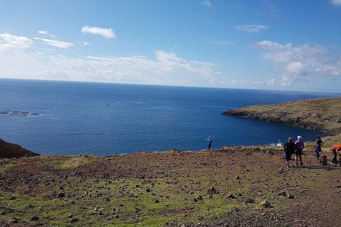 Private Guided Walk Ponta São Lourenço - Price and value: is about $108 per person worth it?
