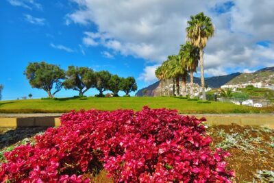 Private Half-Day Morning 4x4 Tour from Funchal - Stop-by-stop: Faja dos Padres and the south coast’s strange beauty