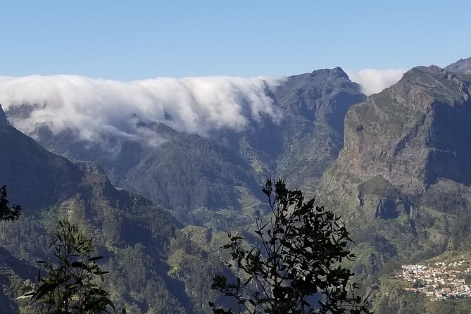 Private Half Day Off Road Tour in Madeira - What the Private $276.35 Price Gets You in Madeira