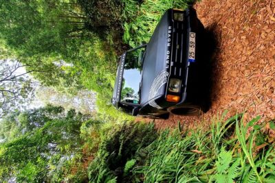 Private Half Day Off Road Tour in Madeira - From Curral das Freiras Through Câmara de Lobos: Farms Up Close