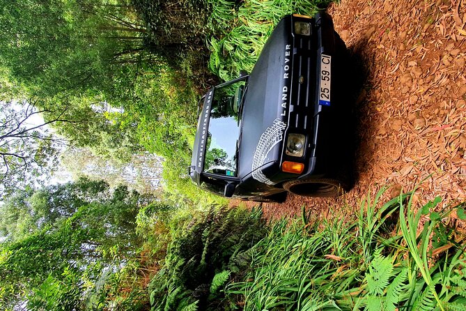 Private Half Day Off Road Tour in Madeira - From Curral das Freiras Through Câmara de Lobos: Farms Up Close