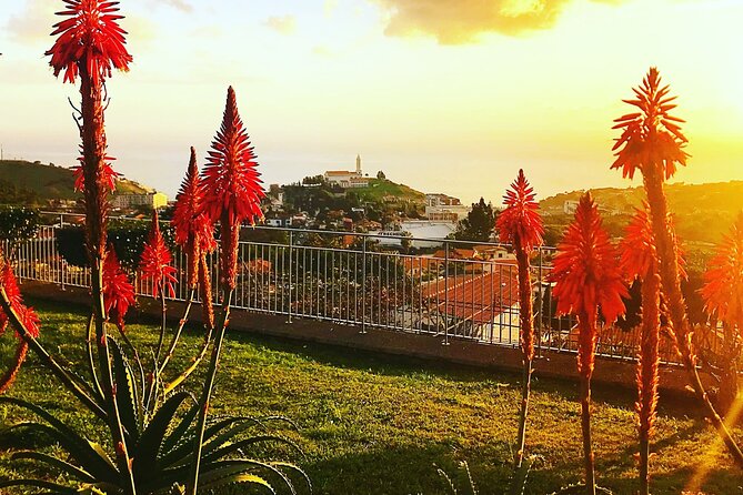 Private Half day tour around Madeira Island - Timing tips for a 3–4 hour tour that feels unhurried