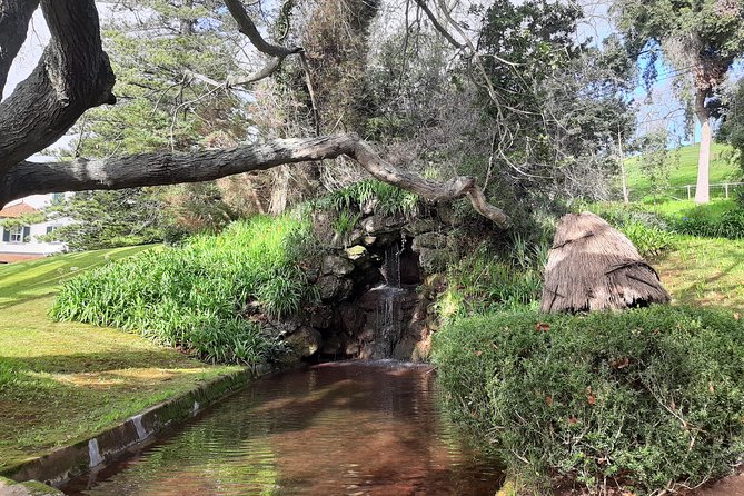 Private Halfday Flower Palheiro Gardens Tour - Why Palheiro Gardens feel like Madeira’s calm pocket