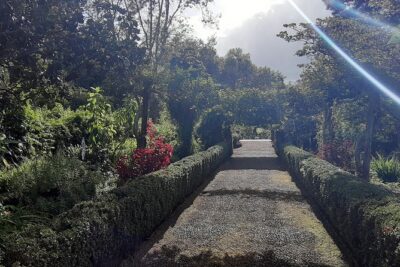 Private Halfday Flower Palheiro Gardens Tour - Panoramic stops built in: São João Latrão and Terreiro da Luta