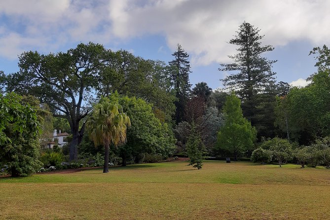 Private Halfday Flower Palheiro Gardens Tour - Price and value: what $108.37 gets you in real terms