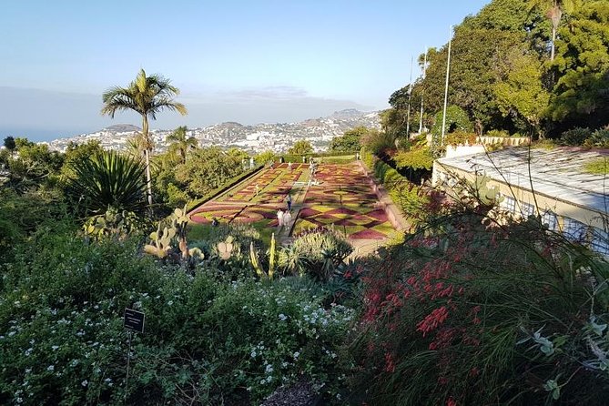 Private Halfday Madeira Garden Tour - Monte Palace Tropical Garden: plants, Portugal stories, and Nossa Senhora do Monte