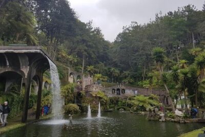 Private Halfday Madeira Garden Tour - Madeira Botanical Garden: another side of the same island obsession
