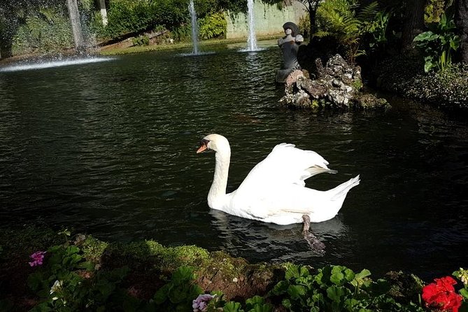 Private Halfday Madeira Garden Tour - Who should book this tour (and who might skip it)