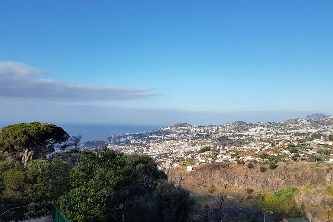 Private Halfday Madeira Garden Tour - Should you book the Private Halfday Madeira Garden Tour?