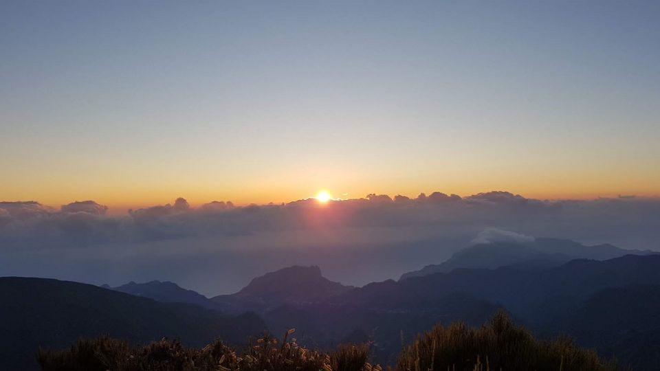 Private Jeep Tour Santana to East-Side - Why this private Land Rover safari feels different in Madeira