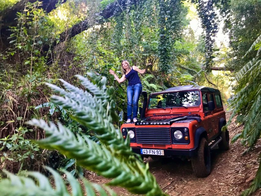 Private Jeep Tour West-Side Natural Pools - Terrace roads, banana fields, and the climb away from the sea
