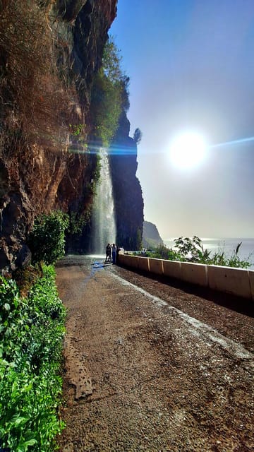 Private Madeira Highlights Full Day Tour - Fanal Forest: A Foggy-Feel Moment Built Into the Middle of the Day