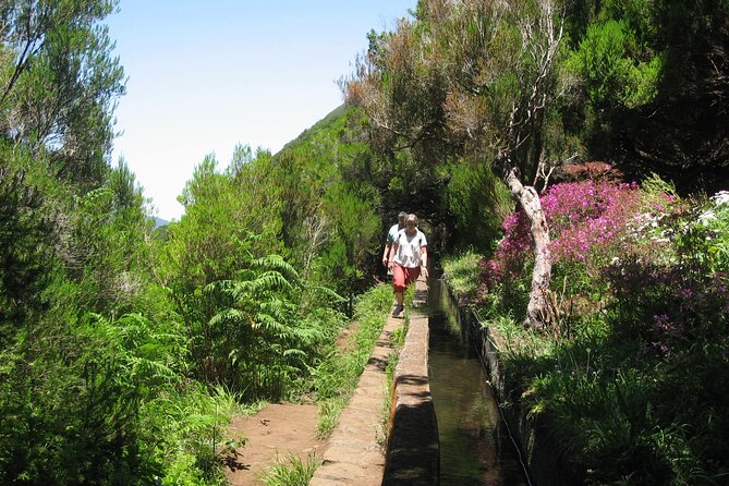 Private Madeira tour 8 people - Private Minivan Touring From Funchal With Up To 8