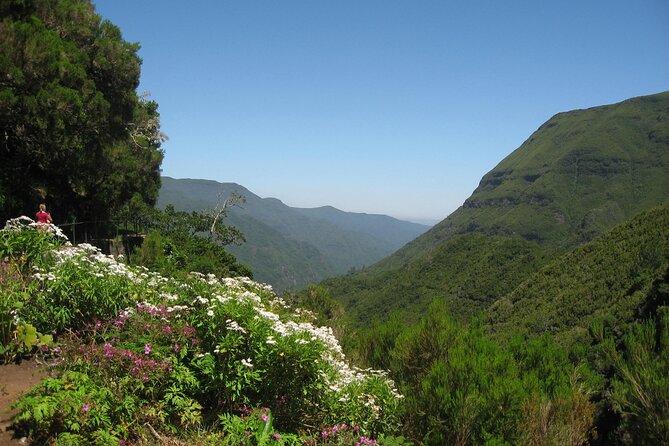 Private Madeira tour 8 people - Who Should Book This Private Madeira Tour