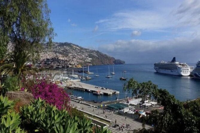 Private: Maderia Island Tour & Famous Monte Toboggan Ride - Cabo Girao: the sea cliff miradouro with pine and farming below