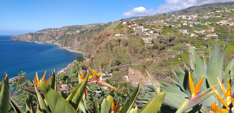 Private Minubus 8 seater - Central Traditions and Views: Nuns Valley, Eira do Serrado, Monte Sledge Ride
