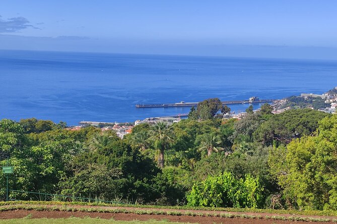 Private Sidecar Tour – Downtown Funchal for 1 or 2 People - Price and Value for Up to Two People