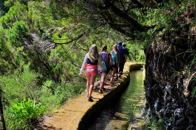 Private Small Group Full Day 4x4 Tour in Northwest Madeira - Ilhéus da Ribeira da Janela: a 10-minute photo break with real payoff