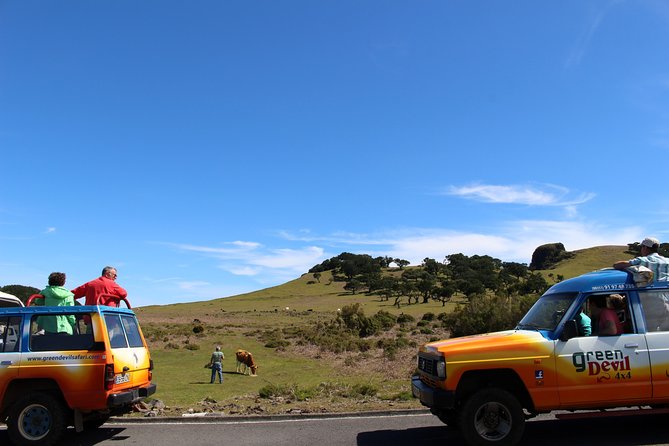 Private Small Group Full Day 4x4 Tour in Northwest Madeira - Porto Moniz: volcanic pools, the swim slot, and how to budget