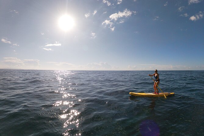 Private Stand Up Paddle Tour in Câmara de Lobos - Snorkeling included: what to expect when the water is clear