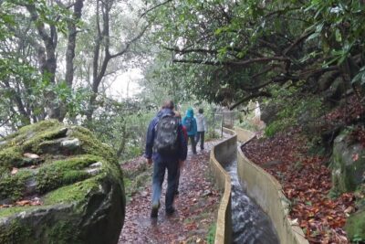 Private Sunrise Guided hike on Pico do Areeiro or other custom - Gentle routes and easy navigation: the real benefit