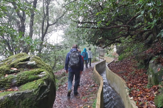 Private Sunrise Guided hike on Pico do Areeiro or other custom - Gentle routes and easy navigation: the real benefit