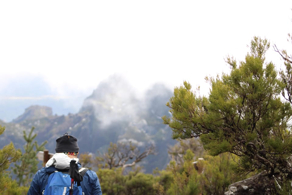 Private Sunrise Hike to Pico Ruivo with Hotel Pickup - At the top: waiting for colors, smells, and that first sun break