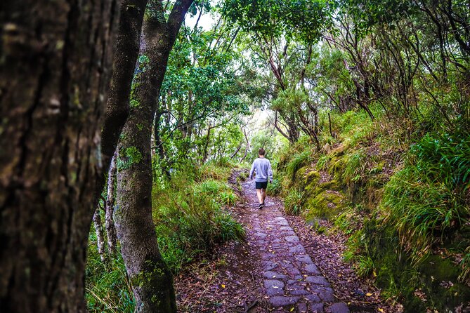 Private Sunrise Pico do Areeiro Half Day with easy levada walk - Stop 3: Balcões de Ribeiro Frio and Another Scenic Nature Pause