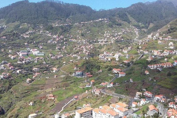 Private Tour Halfday South Madeira - A half-day south-coast sampler from Funchal