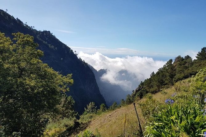 Private Tour Nun's Valley Halfday - Lunch upgrade: how to plan food without ruining your timing