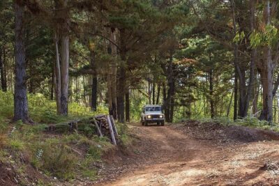 Private Tour: Nun's Valley & Sea Cliff - Half Day Jeep Tour - Stop by stop: how the route shapes your views of Madeira