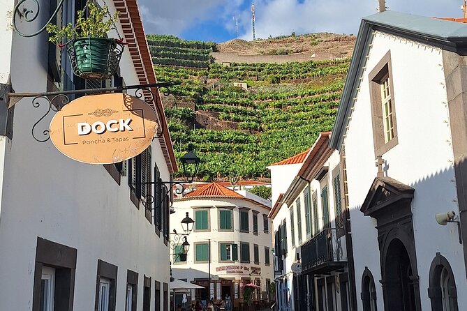 Private Tour Skywalk and Valley of the Nuns - Camara de Lobos: a quick fishing village walk with real charm