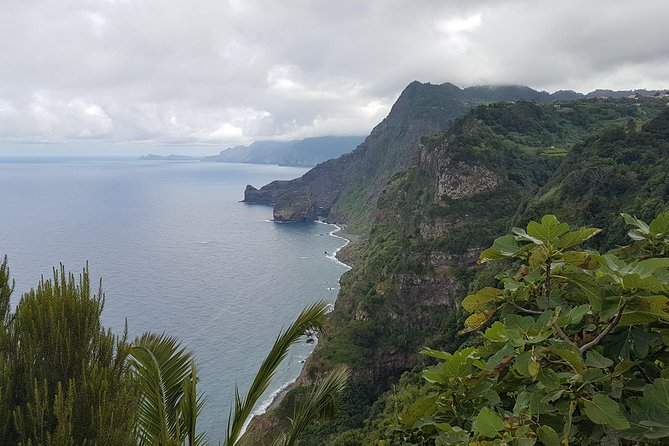 Private Tour The Biosphere Santana - Santana Biosphere Reserve: why the north side feels different