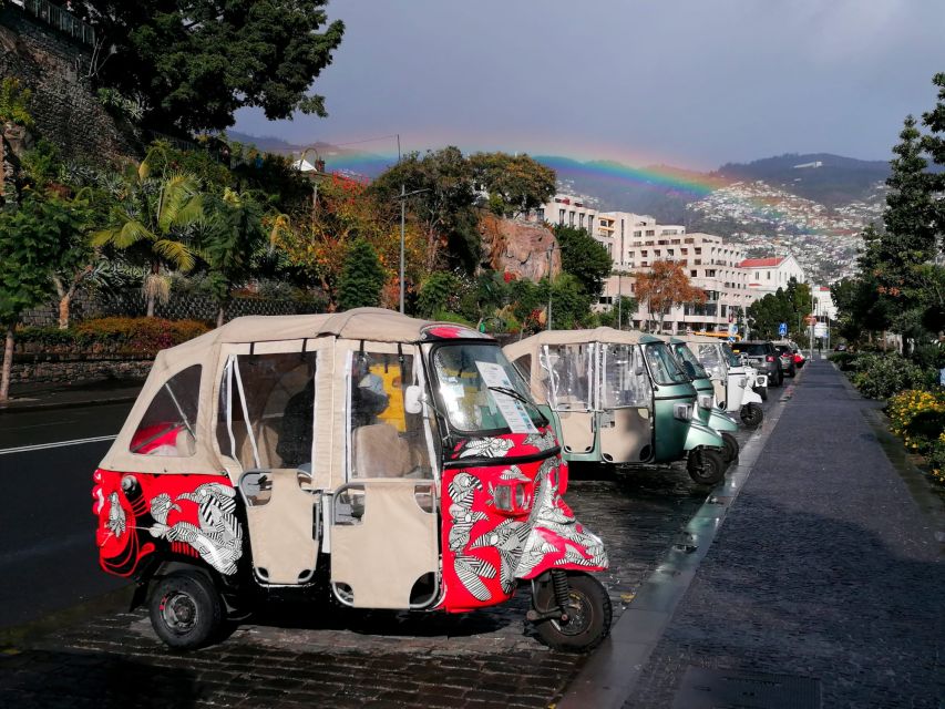 Private tour:Tuk Tuk Ride to Monte Funchal Toboggans - Key things you’ll notice