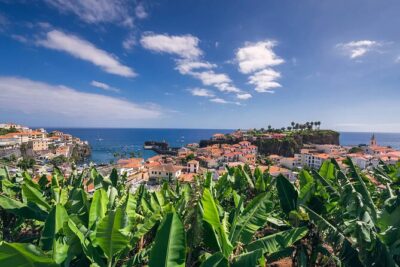 Private Tuk Tuk Tour on Câmara de Lobos, Fishing Village - Getting oriented at Lido’s New Town (your Funchal start line)